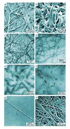 Illustration for article titled Wood Nanocrystals Are Like Carbon FIber Only Lighter, Stronger, And Cheaper